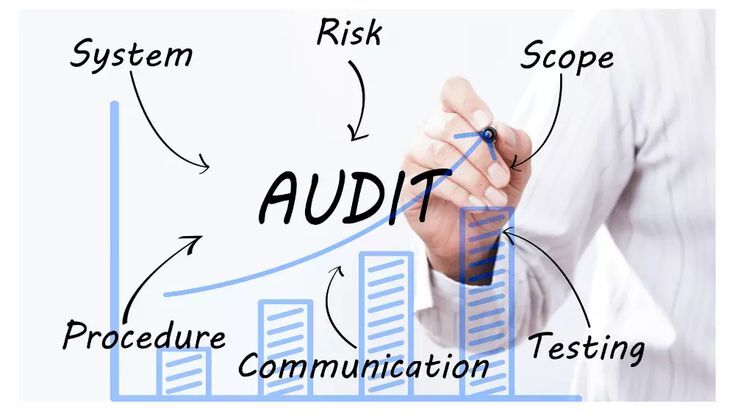 Audit Process